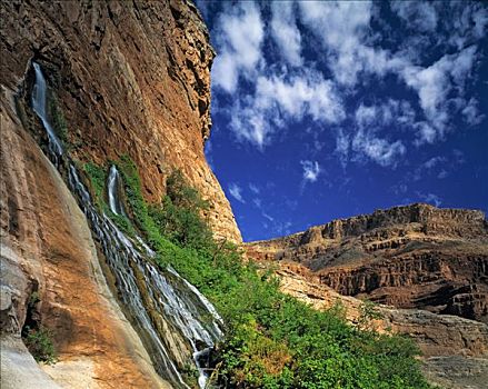 大,春天,喷涌,峡谷,墙壁,大峡谷国家公园,亚利桑那