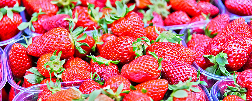 新鲜,草莓,街上,市场货摊