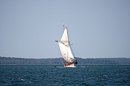 斯堪的纳维亚半岛,芬兰,风景,老,帆船,水上