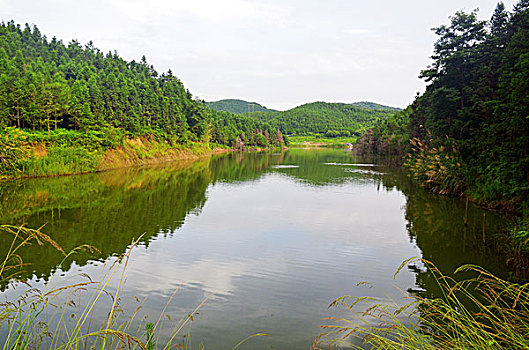 西河风光带极乐村河道