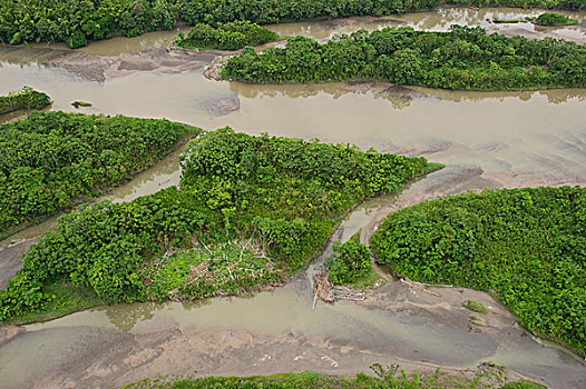 沙洲,河,亚马逊雨林,生物保护区,厄瓜多尔,南美