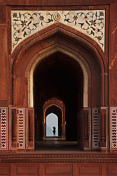 摄影师,泰姬陵,清真寺,阿格拉,北方邦,印度