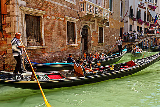 平底船船夫,旅游,运河,威尼斯,意大利