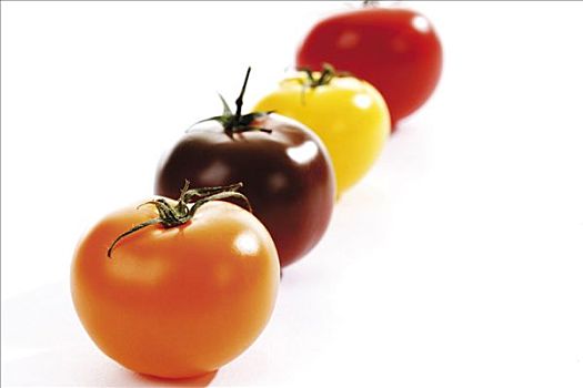种类,西红柿,橙色,褐色,黄色,红色