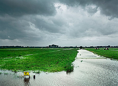 洪水,农田