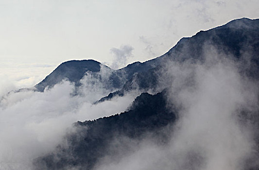 山,云海,雾