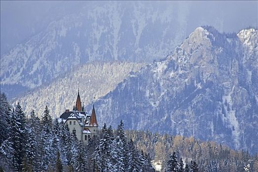风景,别墅,第一,障碍滑雪,2004年,塞梅宁,下奥地利州