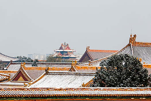 北京故宫下雪了
