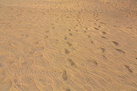 沙子,轨迹,沙丘,大卡纳利岛,西班牙,欧洲