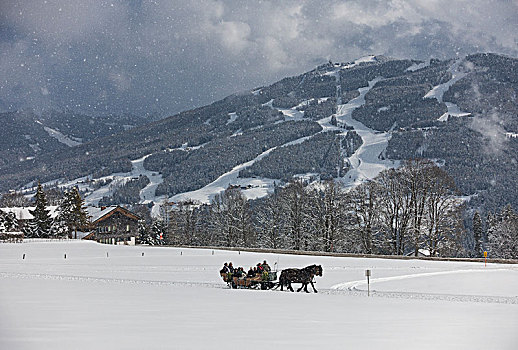 马车,雪中,下雪,靠近,斯拉德明,拉姆绍,施蒂里亚,奥地利,欧洲