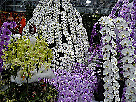 2010年台湾世界花博会