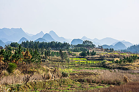 田园风光