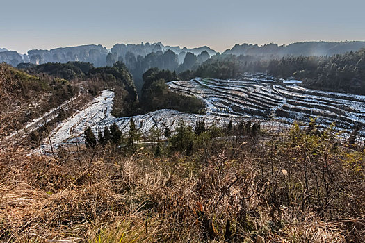 湖南省张家界市武陵源天子山乡村梯田自然景观