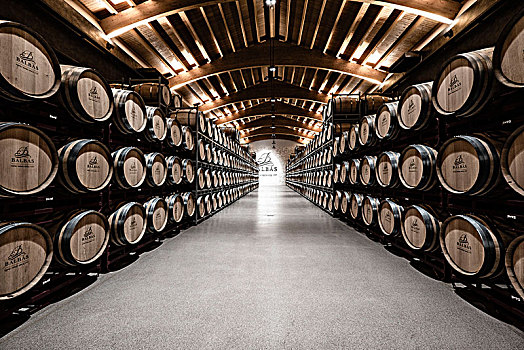 室内,葡萄酒厂,一个,葡萄酒,杜罗河,产地名称,产酒区,布尔戈斯,西班牙,欧洲