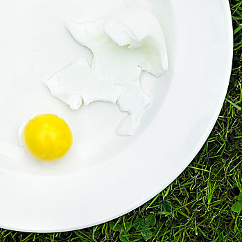 俯视,煮蛋,白色背景,盘子,分开,蛋黄,白色