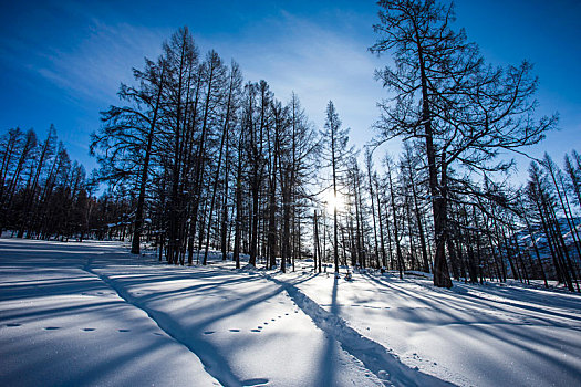 新疆禾木村雪景风光