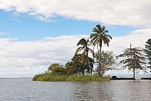 小,岛屿,热带,植被,湖,尼加拉瓜,中美洲