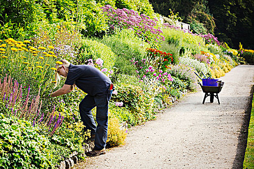 两个,园丁,工作,混合,边界,花,花园,牛津