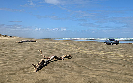 90英里海滩,低,潮汐,北岛,新西兰