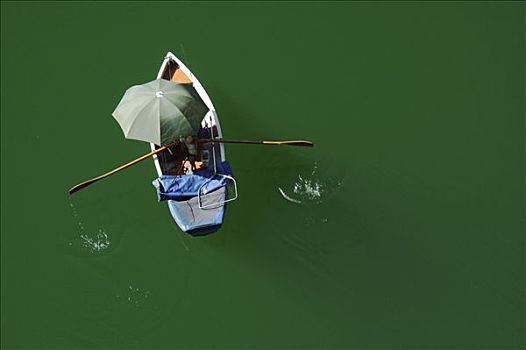 伞,绿色,水库,巴伐利亚,德国