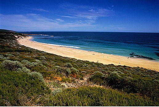 海滩,海岸线,西澳大利亚,澳大利亚