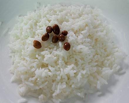 朴素,米饭,浇料,油炸,花生
