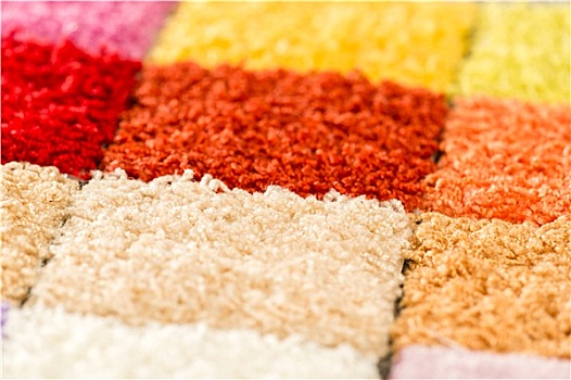 品种,彩色,地毯