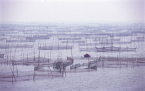 山东东平湖湿地