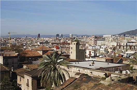 屋顶,风景,巴塞罗那,大教堂,西班牙