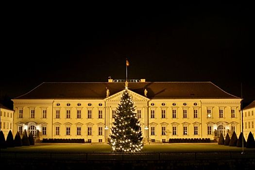 城堡,贝尔维尤,住宅,联邦,总统,圣诞树,柏林,德国
