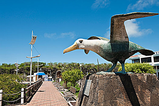 加拉帕戈斯群岛,厄瓜多尔,加岛信天翁,雕塑,波多黎各,圣克鲁斯岛