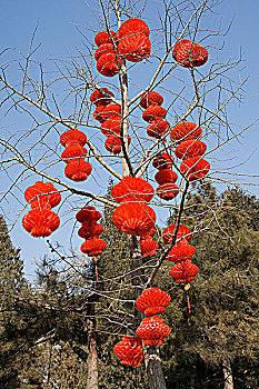 2008年北京地坛春节庙会