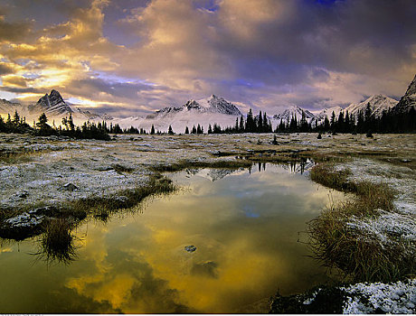 山谷,碧玉国家公园,艾伯塔省,加拿大