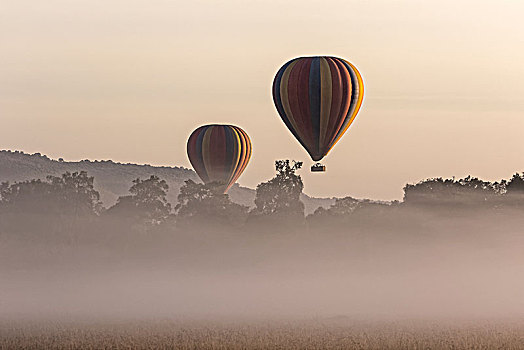 热气球,乘,上方,晨雾,马赛马拉,肯尼亚,非洲