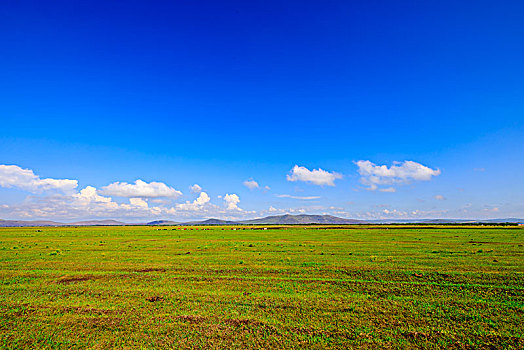 内蒙古呼伦贝尔沿途美景