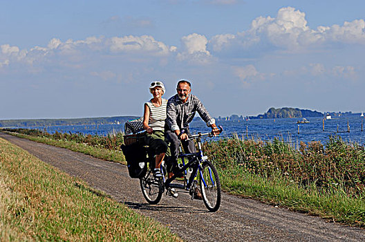 伴侣,骑,双人自行车,湖,费吕沃,弗莱福兰,荷兰,欧洲