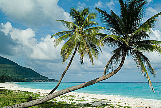 海滩,多米尼加共和国