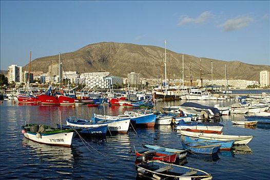 渔船,港口,特内里费岛,加纳利群岛,西班牙