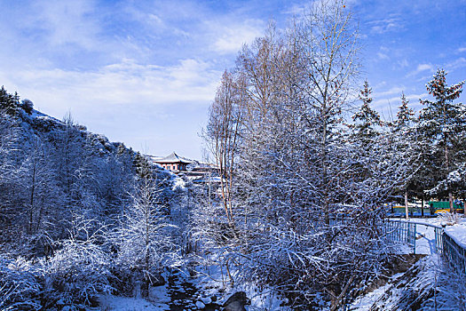 冰雪焉支山