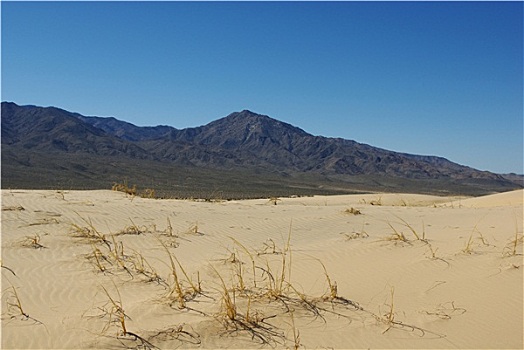 沙子,普罗维登斯,山,莫哈维沙漠,加利福尼亚