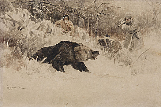 熊,猎捕