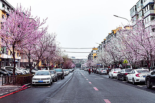 初春的中国长春城区景观