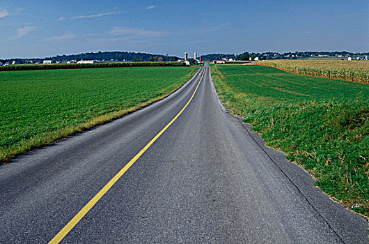 公路,通过,风景,兰卡斯特县,宾夕法尼亚,美国