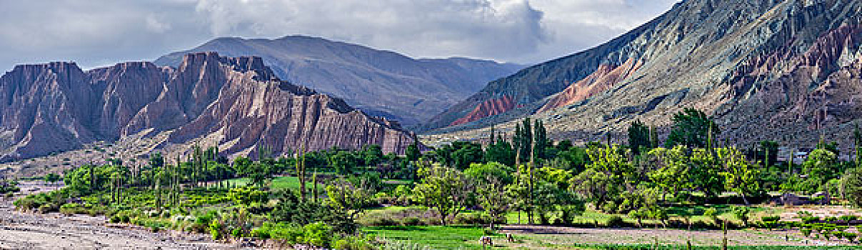 全景,茂密植被,普尔马马卡,河,后面,山,彩色,胡胡伊省,阿根廷,南美