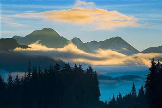 山谷,雾,楚加奇山,背景,日出,阿拉斯加