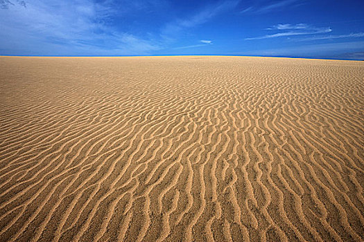 沙丘,建筑,沙子,自然保护区,大卡纳利岛,加纳利群岛,西班牙,欧洲