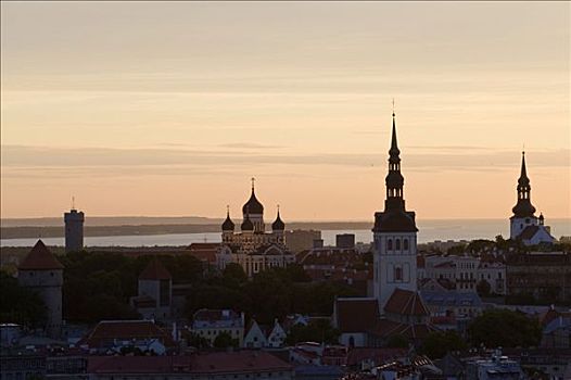 酒店,上方,塔林,日落,爱沙尼亚,波罗的海国家,欧洲