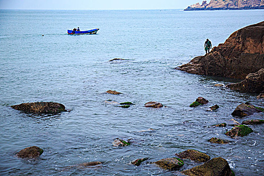 礁石,劳作,采挖,贝壳,海浪