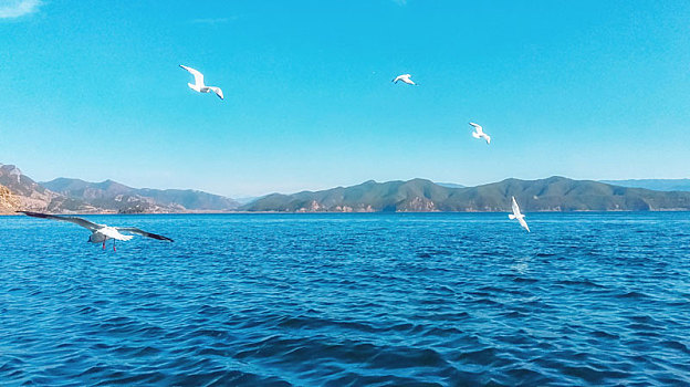 丽江泸沽湖风景区旅游照片