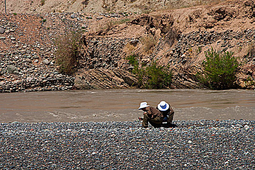 中国新疆玛纳斯河捡玉石的人